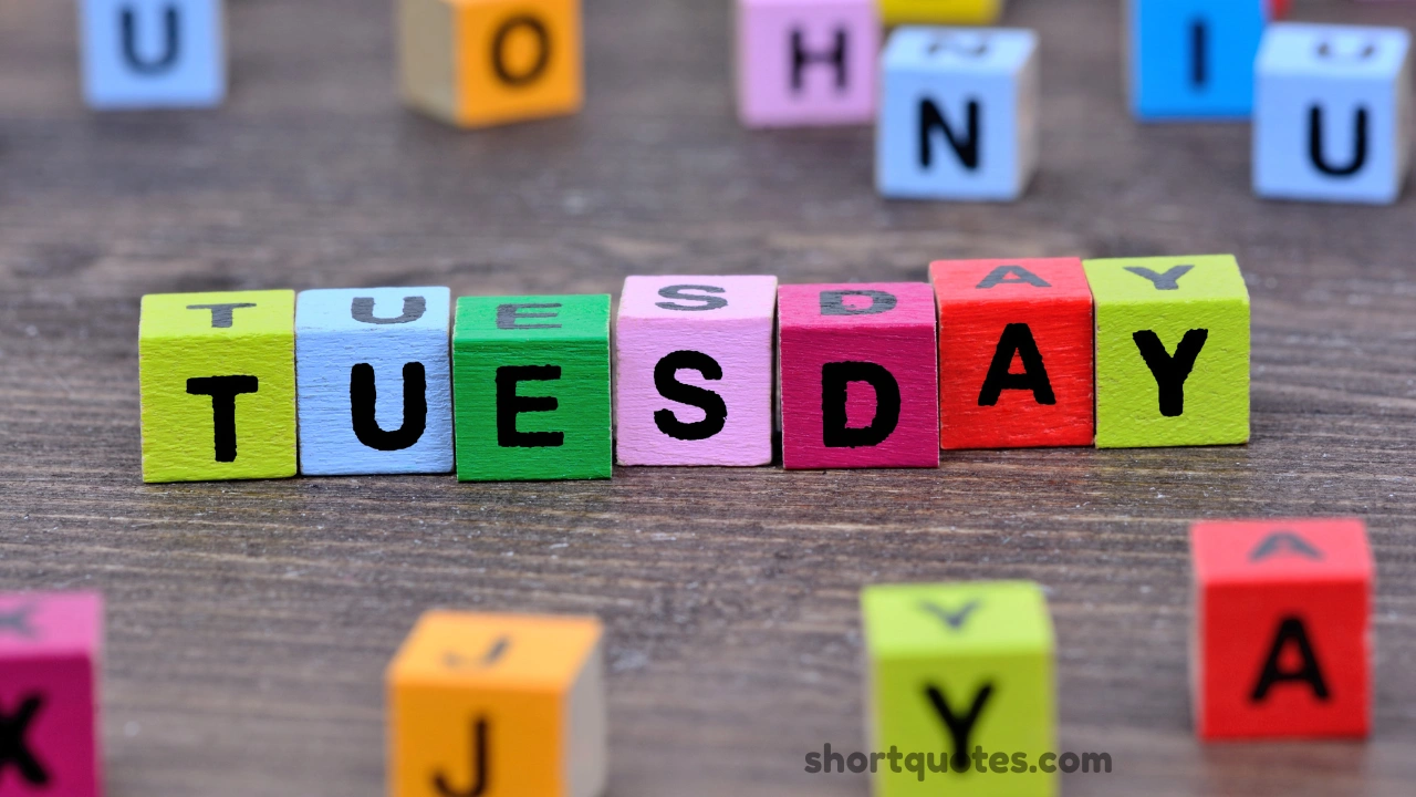 292 Tuesday Morning Blessings to Start Your Day with Positivity