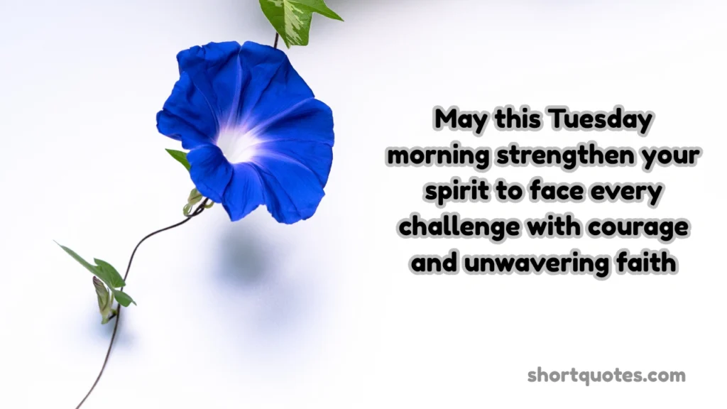 Good Morning Tuesday Blessings to Uplift Your Spirit