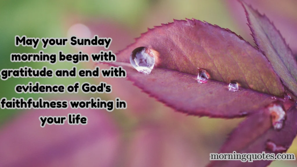 Black Sunday Morning Blessings to Start Your Day Right